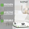 Bed Bug Interceptors – 4 Pack | Bed Bug Blocker