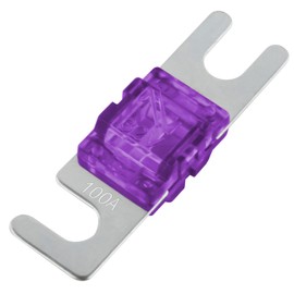 SeKi Mini ANL Fuse 100A for Car Truck Motorcycle Boat HiFi Blade Fuse Pack of 4