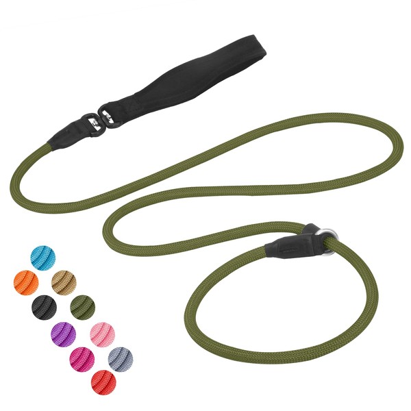 Slip Lead Dog Leash 6ft [360° Swivel Anti-Tangle] Strong Dog