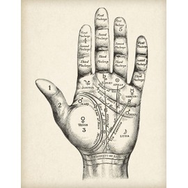 Vintage Palm Reading Chart - Classic Fortune Telling Poster, Chiromancy Wall Art, Gift for Palm Readers, Palmistry and Astrology Fans, Choose Unframed Vintage Poster or Canvas Prints