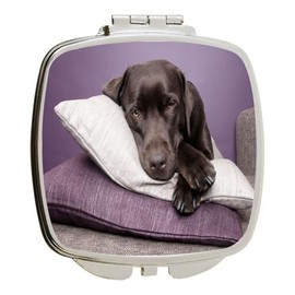 Island Gifting - 4 Inch Ceramic Tile Art - Labrador Dog on Purple Pillows - Square Compact Mirror - Travel Mirror