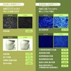 Super Birch Rich Origin Cream | 80% Birch Sap Blended