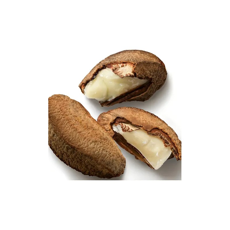 Natura Ekos Pulpa Exfoliante de Manos y Pies Castaña
