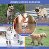 Double-Sided Non-Slip Dog Socks for Indoor Use to Prevent Paws