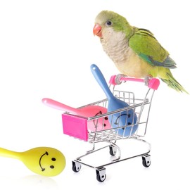 DQITJ 9 Pcs Colourful Mini Ball Sand Hammer Parrot Rattle Shaker Musical Sound Toy Intelligent Sand Hammer Foot Toy for Bird Parrot Cockatiel Conure Lovebird Parakeet Canary (Colors May Vary)