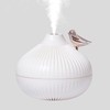 Mist Humidifier Small Onion Shape USB Lighting Quiet Small Air