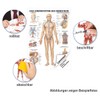 Sport-Tec Lymphatic System Mini Poster Anatomy 34 x 24 cm