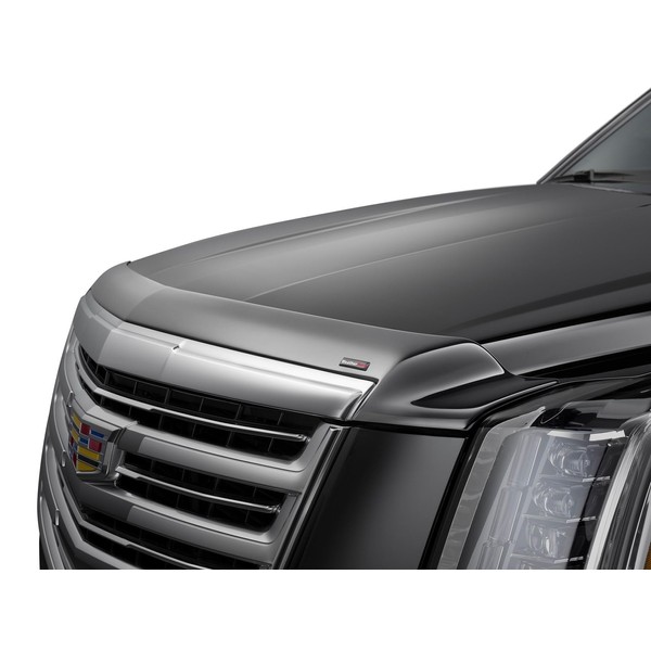 WeatherTech Hood Protector Low-Profile Hood Shield for Ford Mustang (55053)