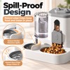 Automatic Cat Feeder and Water Dispenser for Daily Feeding –