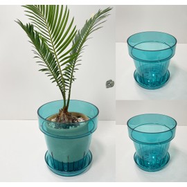 RISEON 3 Pack Clear Acrylic Plastic Orchid Pots with Holes and Saucers,Thick Acrylic Planter Pot, Orchid Dendrobium Oncidium Cattleya Repotting Pot Indoor Outdoor (Cyan)