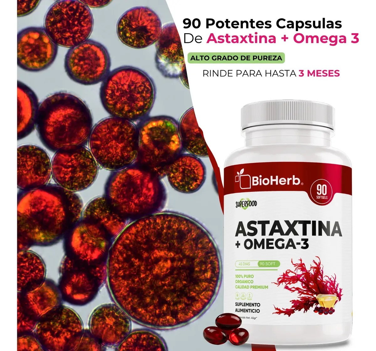 BioHerb  Astaxantina 12mg  Omega 3 EPA y DHA  Fórmula Premium de Alta Concentración  90 Cápsulas de 1000 mg  Ácidos Grasos Naturales  Suplemento