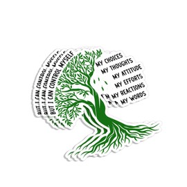 (3pcs) But I Can Control Myself My Choices Thoughts Attitude Efforts Reactions Words Sticker Funny Sayings Motivational Quotes Inspirational Vinyl Decal for Laptop Water Bottles Books Phone -Size 3x3