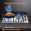 12 Inch Built-In Stainless Steel/Tempered Glass Gas Cooktop 2-Burner Propane