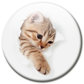 Fridge Magnet with Funny Cat Motif "Cat Breaks Through " Magnetic Board Magnets Colourful Strong Large Round 50 mm