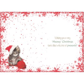 doodlecards To All Of You Christmas Card Cute Santa Paws Kitten Cat Pet Medium Size Christmas Card for To All Of You with Plain Envelope