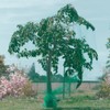 LXGKREL Bird protection net, bird net, pond net, garden net,