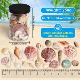 HAPY SHOP Mixed Sea Shells 250 g Shells Various Size up to 2.5 in Seashells Bulk with Box Shells for Crafts,Tank Vase Filler,Beach Theme Party,Home Decor,Resin Decoration(60-70 pcs)