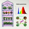 Wuhuu Indoor Greenhouse with Grow Lights, 4 Tier 27.2" L×19.9"