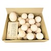 Gees Megumi Morino Hinoki Float in the Bath Set of