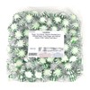 Starlight Spearmint Mints 2 Lbs Bulk Hard Candy Discs Approximately