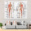 Batmerry Skeleton Science Tapestry, Body Human Skeleton Anatomy Backbone Biology