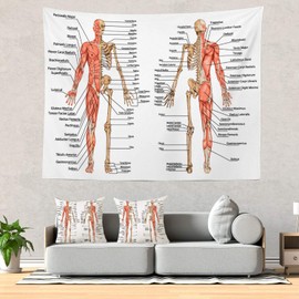 Batmerry Skeleton Science Tapestry, Body Human Skeleton Anatomy Backbone Biology Board Bone Picnic Mat Hippie Trippy Tapestry Wall Art Decor for Bedroom Living Room, 59.1 x 82.7 Inches, Human Anatomy