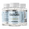Nutrilapse™ Bio Culture Probiotics Complex, 60 Billion CFU, Granular Slow-Release