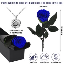 Ledoira Preserved Real Rose Forever Flowers with Heart I Love You Necklace Unique Gifts for Her Mom Grandma Wife Girlfriend Birthday Valentines Christmas Thanksgiving Mother’s Day (Blue)