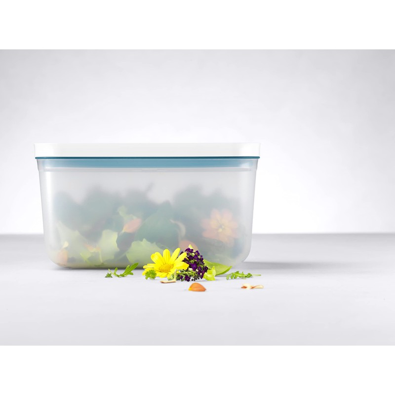 ZWILLING フレッシュ&セーブ 真空ボックス L プラスチック La Mer