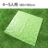 Asahi Koyo Leisure Sheet, For 4 - 5 People, Hide