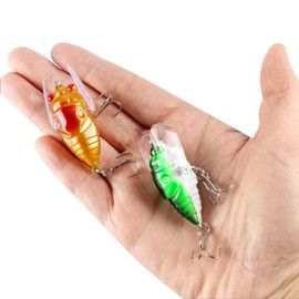 Cicada Fishing Lure, Lifelike 3D Holographic Eyes Freshwater Bait,5Pcs Artificial Bass Accessories for Fish Lures, Fishing Accessories