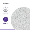 STALEKS PRO Expert PODODISC XS Disposable Abrasives for Foot File