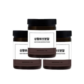 Sanghwang Mushroom Powder Domestic Sanghwang Mushroom Powder 3 boxes of 100g / 상황버섯 가루 국산 상황버섯 분말 100g 3통