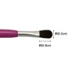 Shishida Seishindo MP-322 Makeup Brush, Eye Color Brush & Tip,