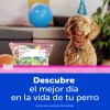 Bolsas para Congelar Ziploc con Cierre Fácil, Pack de 15