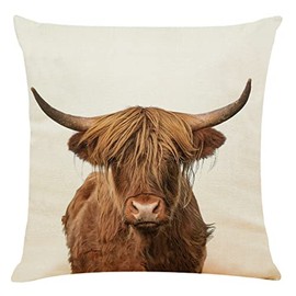 LMABBAQA Farmhouse Cow Pillow Covers 18x18 Inch Highland Cow Decor Pillow Case Decor Lumbar Pillow Case Cushion for Sofa Couch Bed (18x18 Inch)
