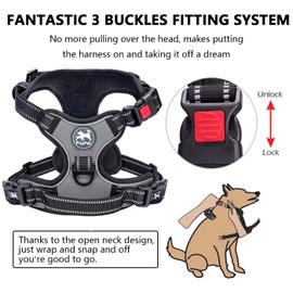 PoyPet No Pull Dog Harness, No Choke Dog Reflective Harness, Adjustable Soft Padded Pet Vest with Easy Control Handle 3 Snap Buckles (Gray,S)