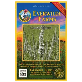 Everwilde Farms - 2000 Culver's Root Native Wildflower Seeds - Gold Vault Jumbo Seed Packet