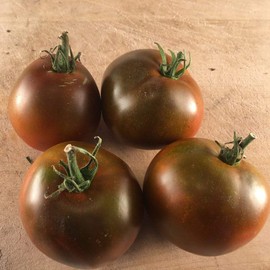 RAISE ME UP: Seeds Black Prince Tomato Indeterminate Rare Variety True Siberian Tomato Non GMO Heirloom