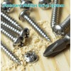 M3*14 Phillips Pan Head Wood Screws 304 Stainless Steel Self-Tapping