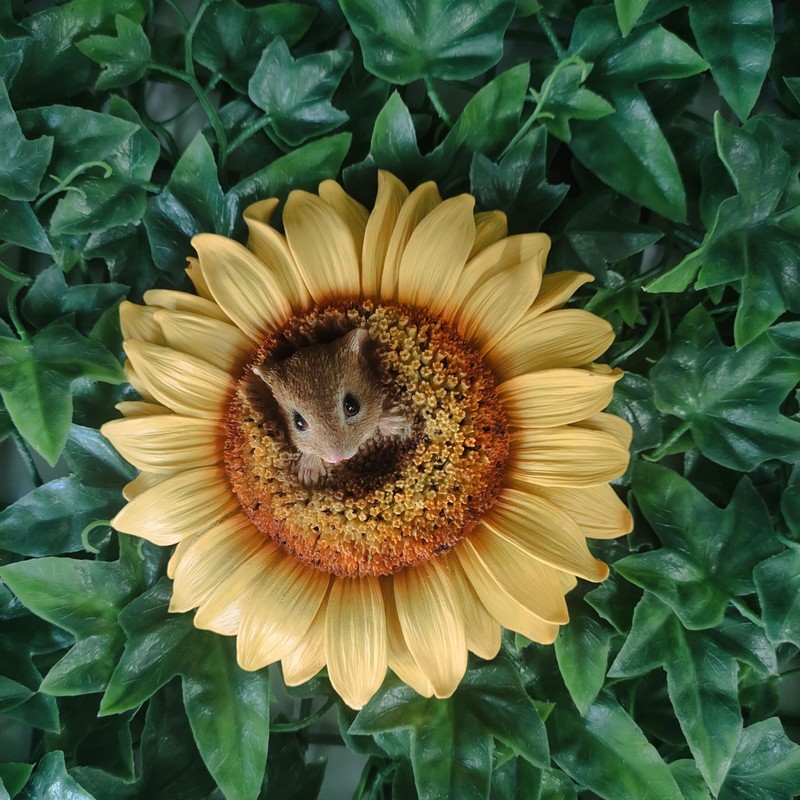 Vivid Arts - Hanging Harvest Mouse/Sunflower - HGF-022