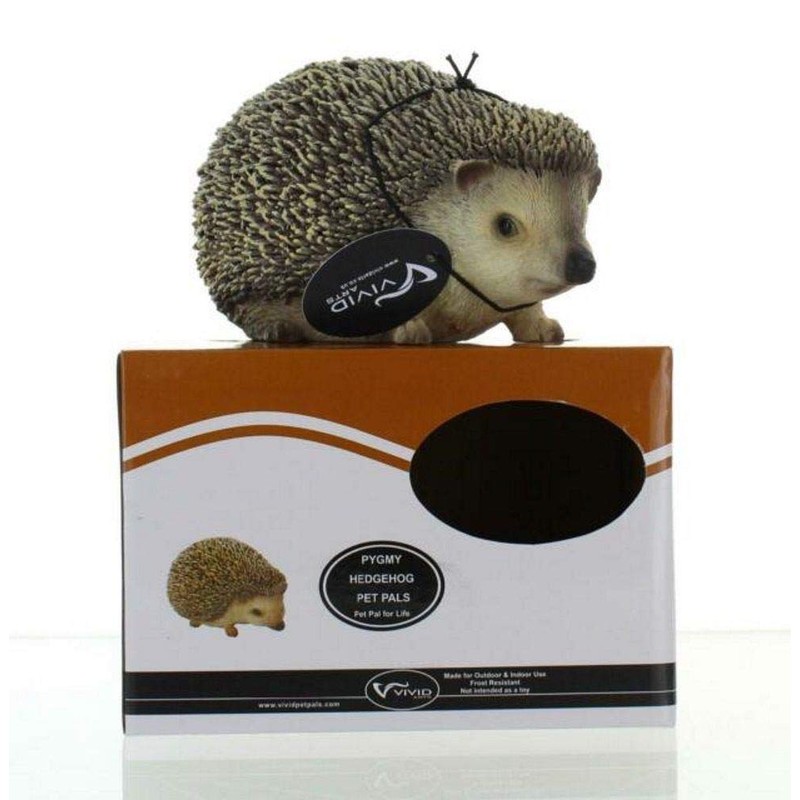 Vivid Arts Ltd Pet Pals Pygmy Hedgehog