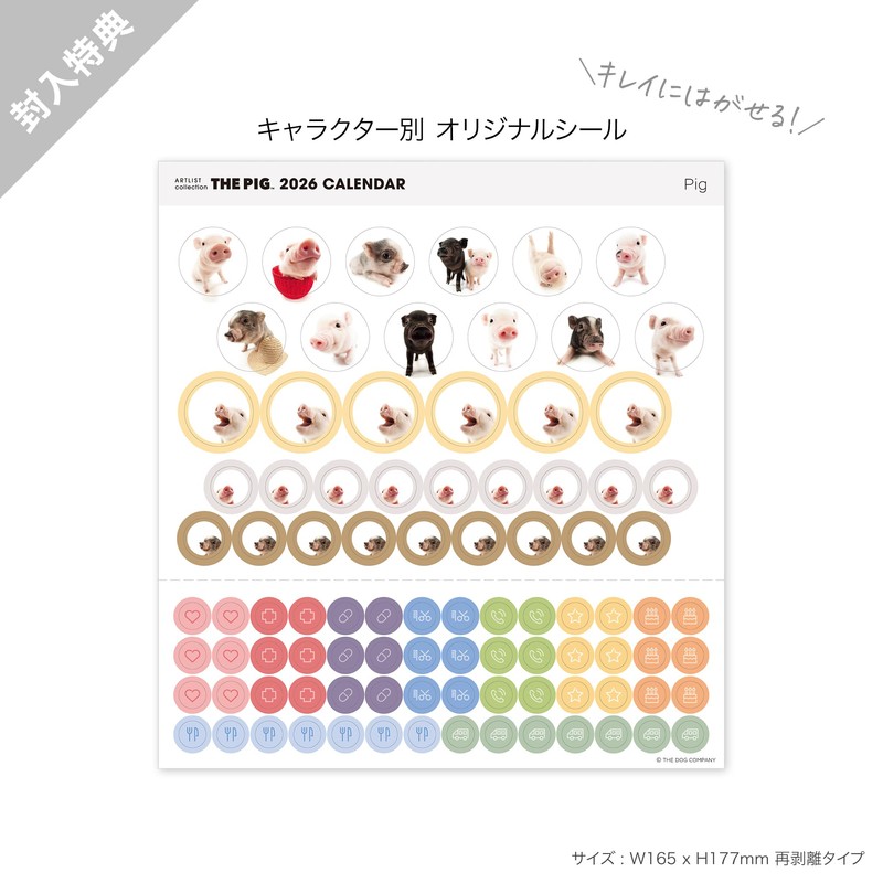 THE PIG 2026 Wall Calendar Mini Size (Pig)