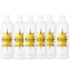 Rinju Body & Hand Lotion - Case of 6 Non-Greasy