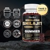 2 Pack Shilajit Gummies 1000mg for Men & Women -