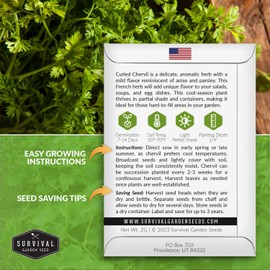 Curled Chervil Seed for Planting - 1 Herb Seed Packet with Instructions to Plant & Grow Aromatic French Herbs in Your Home Herb Garden - Non-GMO Heirloom Variety Chervil Seeds - Survival Garden Seeds
