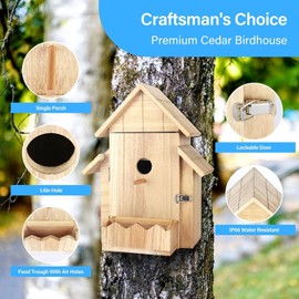 Bird House with Camera, 1080p HD Bird Houses for Outside with Nest Auto Capture Photo & Video, Smart Bird House with Camera Solar Powered 2.4G WiFi & App Notify in Real Time Dark Color (Light, Normal)
