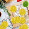 UDNFHL 15 Plastic Pieces Simulated Lemon Slices, Simulated Fruit Decoration,