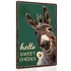 Piemow Funny Donkey Bathroom Metal Sign Hello Sweet Cheeks Home