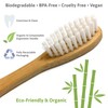 Organic, BPA-Free Bamboo Toothbrush - Biodegradable, Environment-Friendly, Natural, Compostable, Vegan